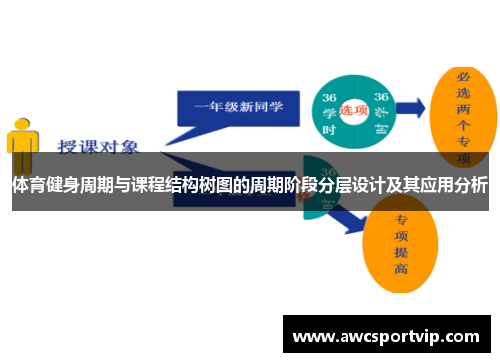 体育健身周期与课程结构树图的周期阶段分层设计及其应用分析