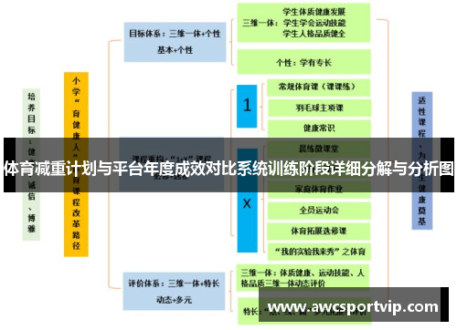 体育减重计划与平台年度成效对比系统训练阶段详细分解与分析图